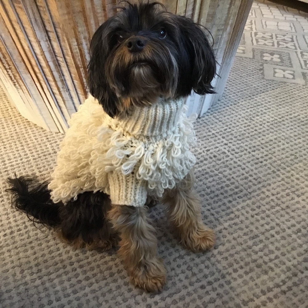 Luxury Dog Sweater - from Anthropologie
